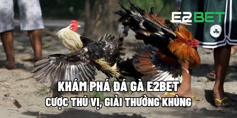 Đá gà e2bet